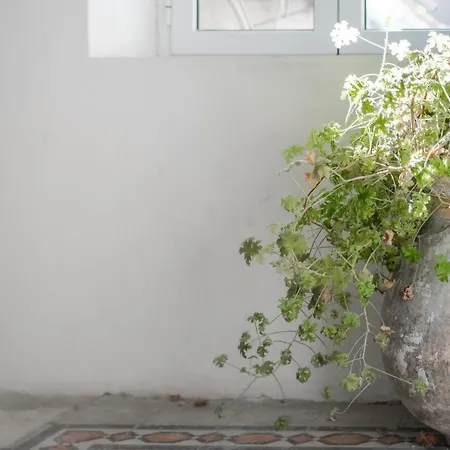 Nadiona Red & Cream דירה Corfu (city)